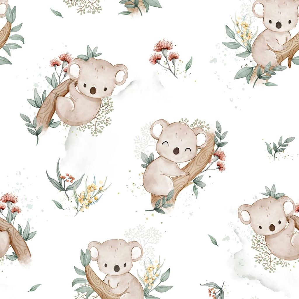 Koala