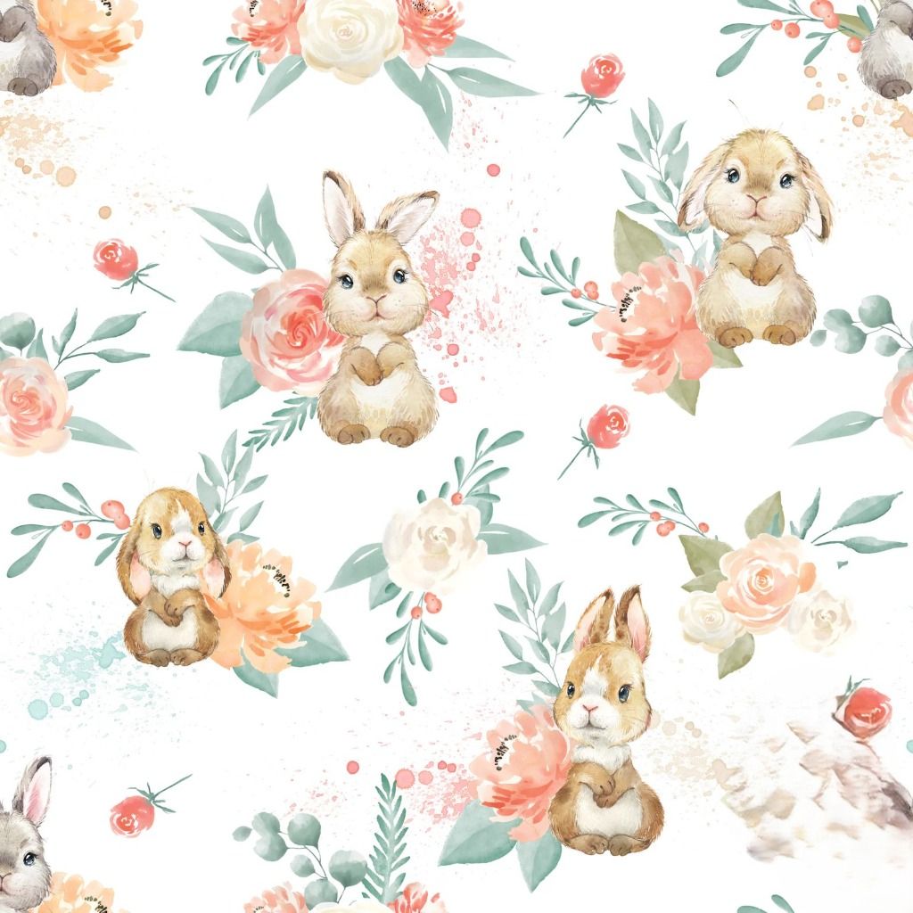 Lapin spring